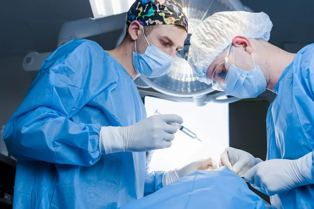 Factors Influencing Buccal Fat Removal Cost in Tampa
